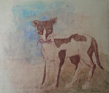 ������� �8. ��� � ������