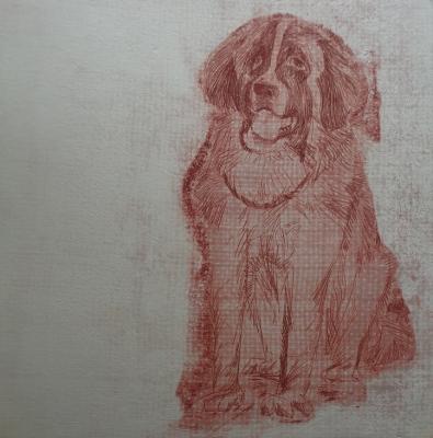 ������� �10. ������