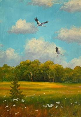 Flight, Cranes. Lyamin Nikolay