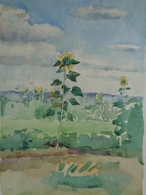 ����������