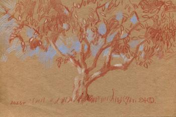 ������. ��������� ����