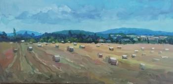 Afternoon. Stacks. The harvested crop. Smolenskaya village. Tsyrulnik Alla