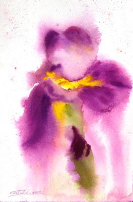 Sketch of Iris (Iris Watercolor). Gayvoronskaya Elena