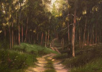 ������� ��������� ��������