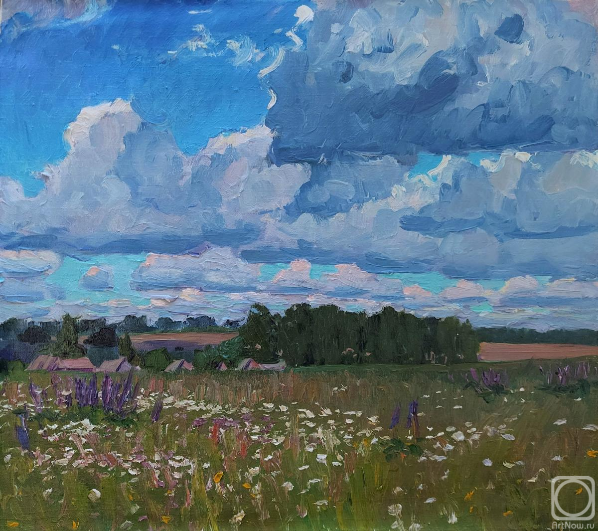 Melnikov Aleksandr. Cloudy sky over a blooming meadow
