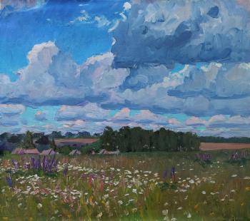 Cloudy sky over a blooming meadow. Melnikov Aleksandr