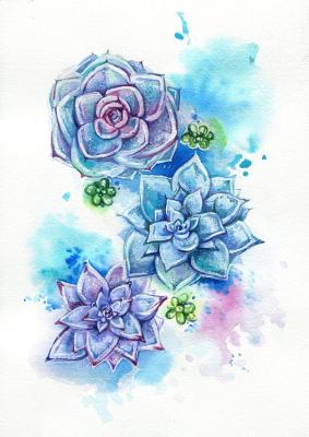 ������� ����������. �������� ����������