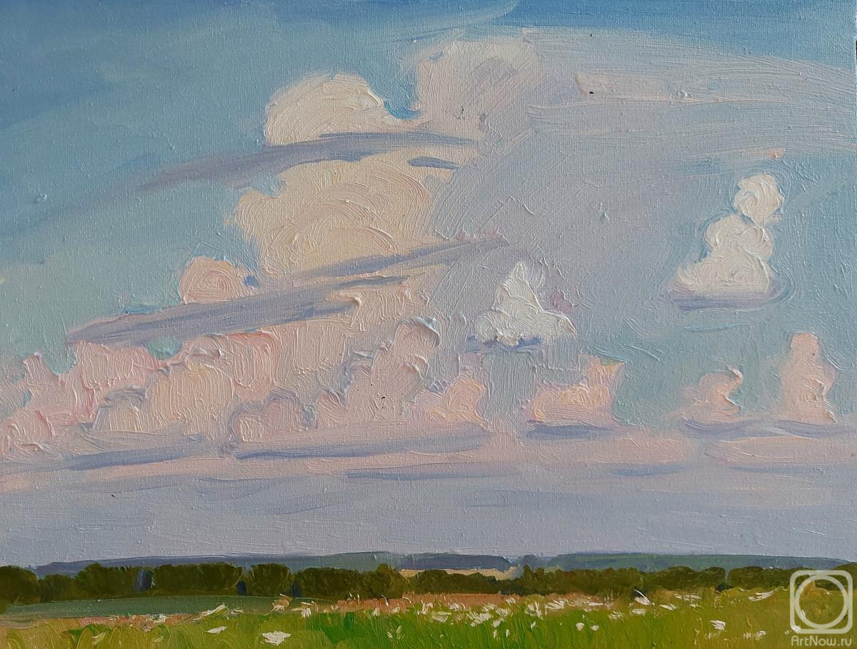 Melnikov Aleksandr. Pink clouds over the expanses