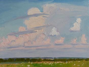 Pink clouds over the expanses. Melnikov Aleksandr