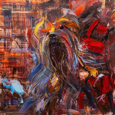 Yorkshire Terrier. Beloved friend