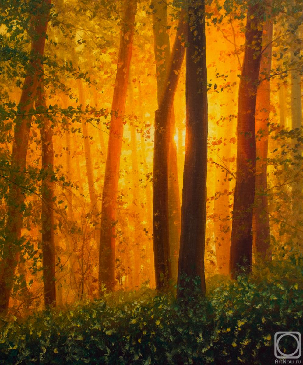 ������� ������ �� ������. ��� ��������. ������� ����