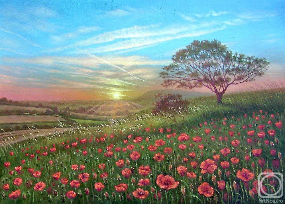 Kulagin Oleg. Poppy field at sunset