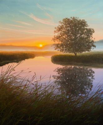 ������� ����������