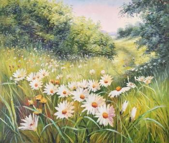 Delicate daisies (). Minaev Sergey
