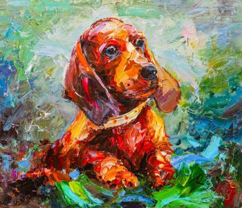 Dachshund puppy for a walk (Dog Portrait). Rodries Jose