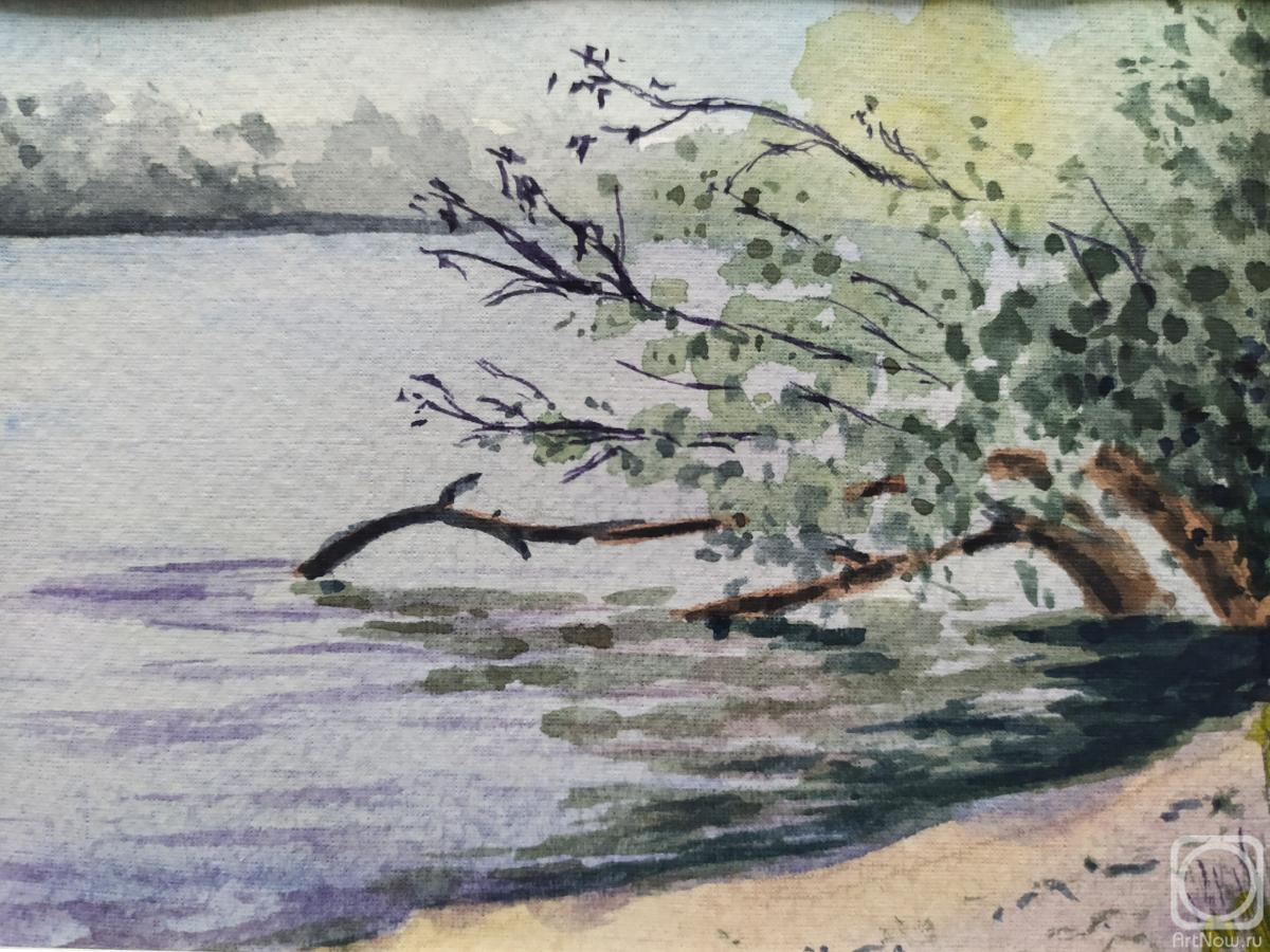 �������. ��������� ��������. ��������� ����