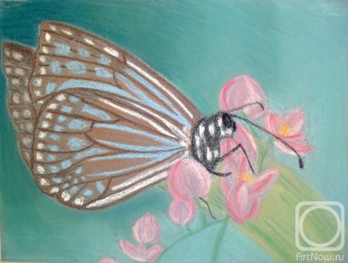 �������. �������� ������. ��������� ������