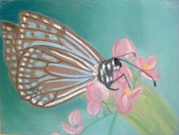 ������� ���������� ������