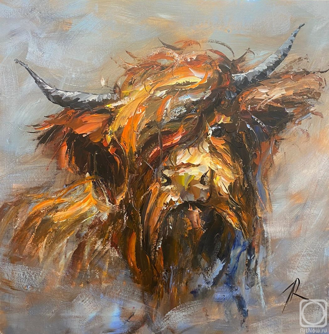Rodries Jose. Portrait of a Scottish bull