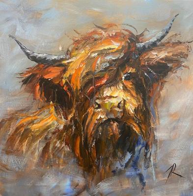 Portrait of a Scottish bull
