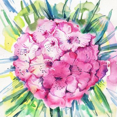 ������� �����������. �������� ����������