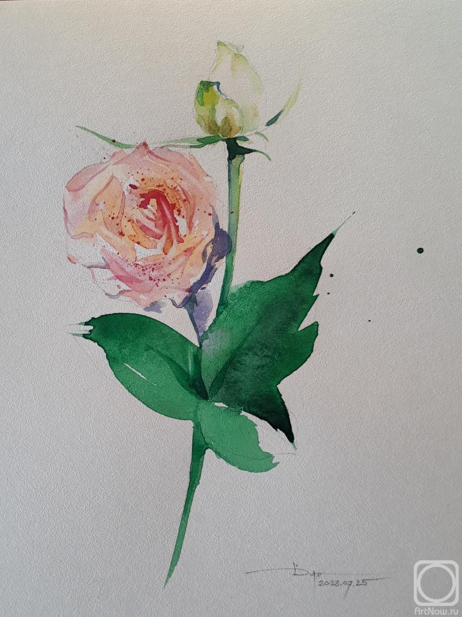 �������. �������� ������. ����