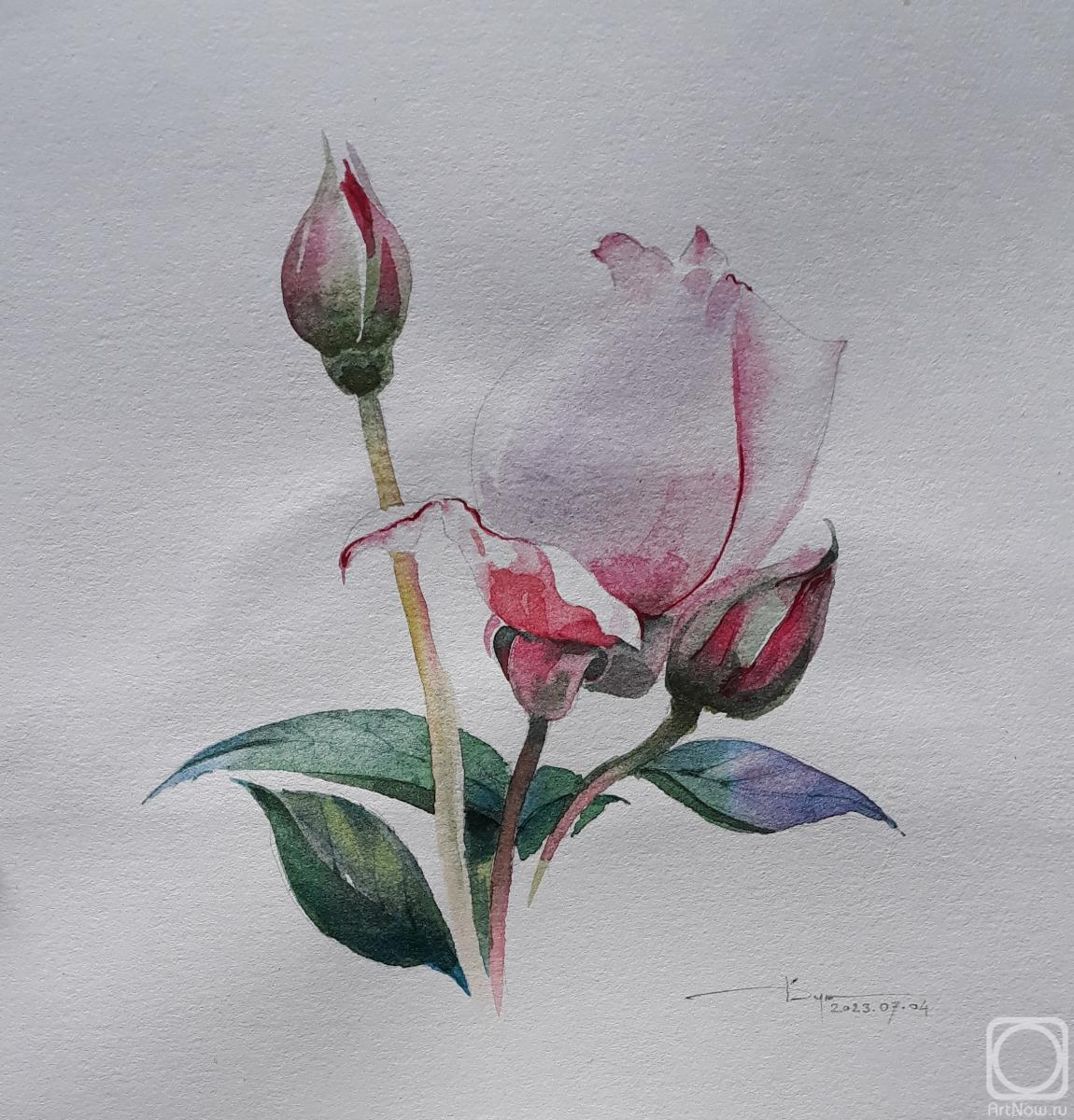 �������. �������� ������. ��� ����