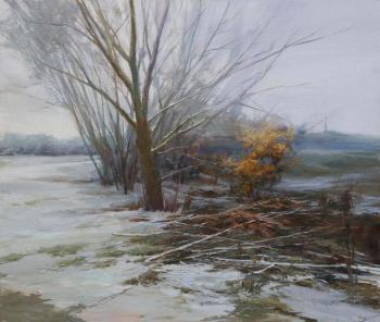 The first winter day (Branches In The Snow). Dragin Igor