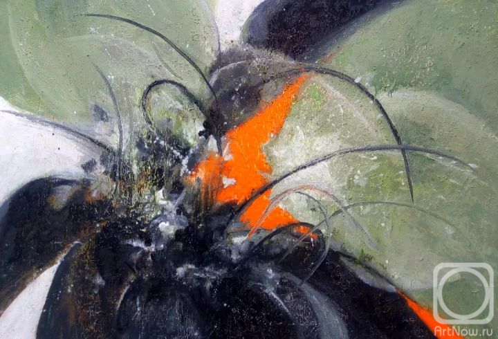 �������. ����� ���������. ��������� ������