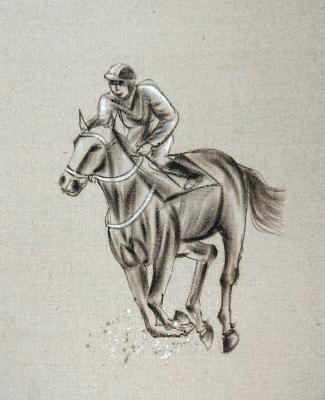 Horse race (). Minaev Sergey