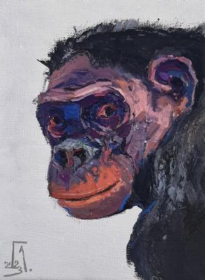 ���������������? (��������). ���������� �������