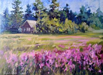 Ivan-tea blooms (Landscape Russian Field). Gerasimova Natalia