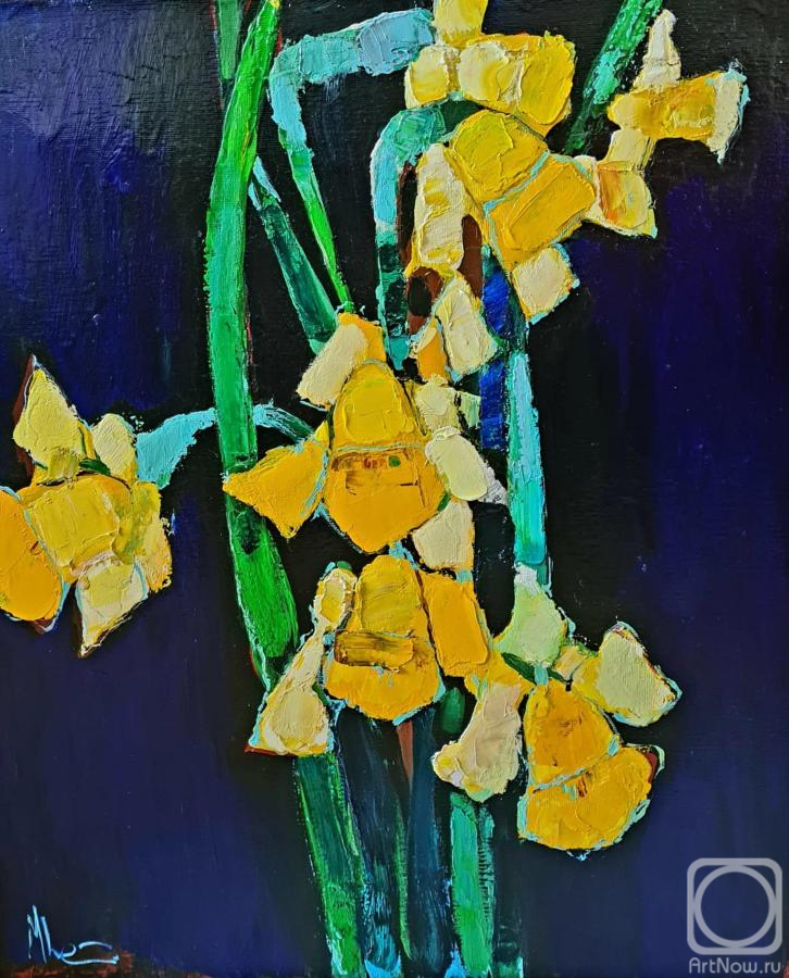 Chatinyan Mger. Daffodils