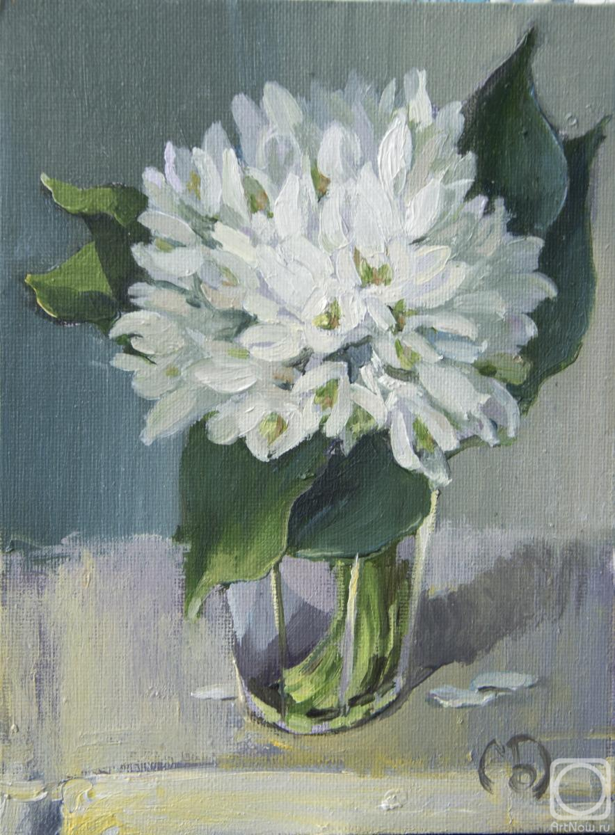 ������� ������ �� ������. �������� ����. �����������