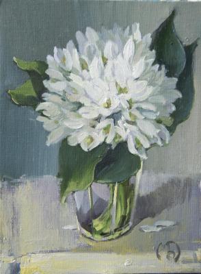 ������� ������������