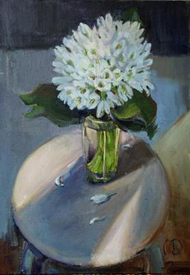 ������� ������������