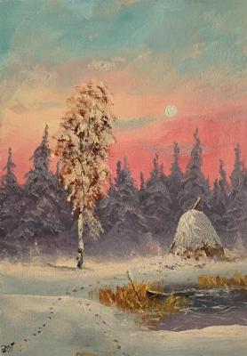 Zimushka, Snow-Covered Birch in the Sunset Light