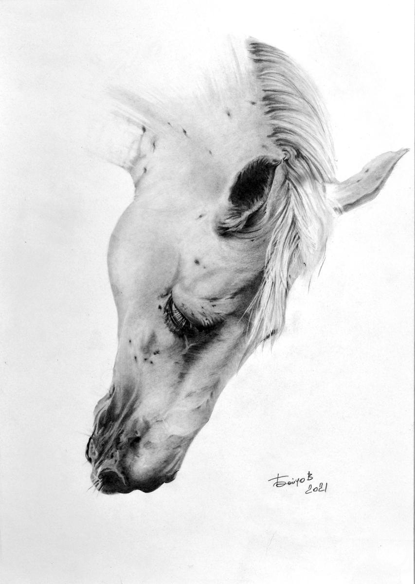 �������. ������ ���������. �����