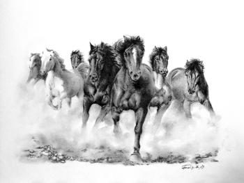 Free Wind (Herd Of Horses). Boytsov Aleksandr