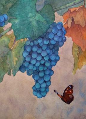 Grapes and butterfly. Udris Irina