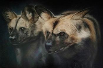Hyenas. Kukhtenkova Galina