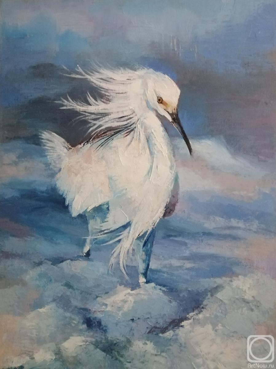 ������� ������ �� ������. ������� �������. ������� �����