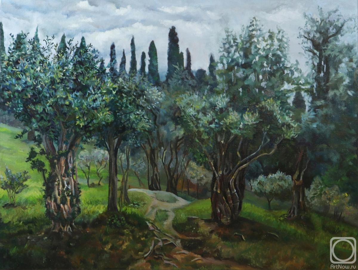Semenova Elena. Olive grove