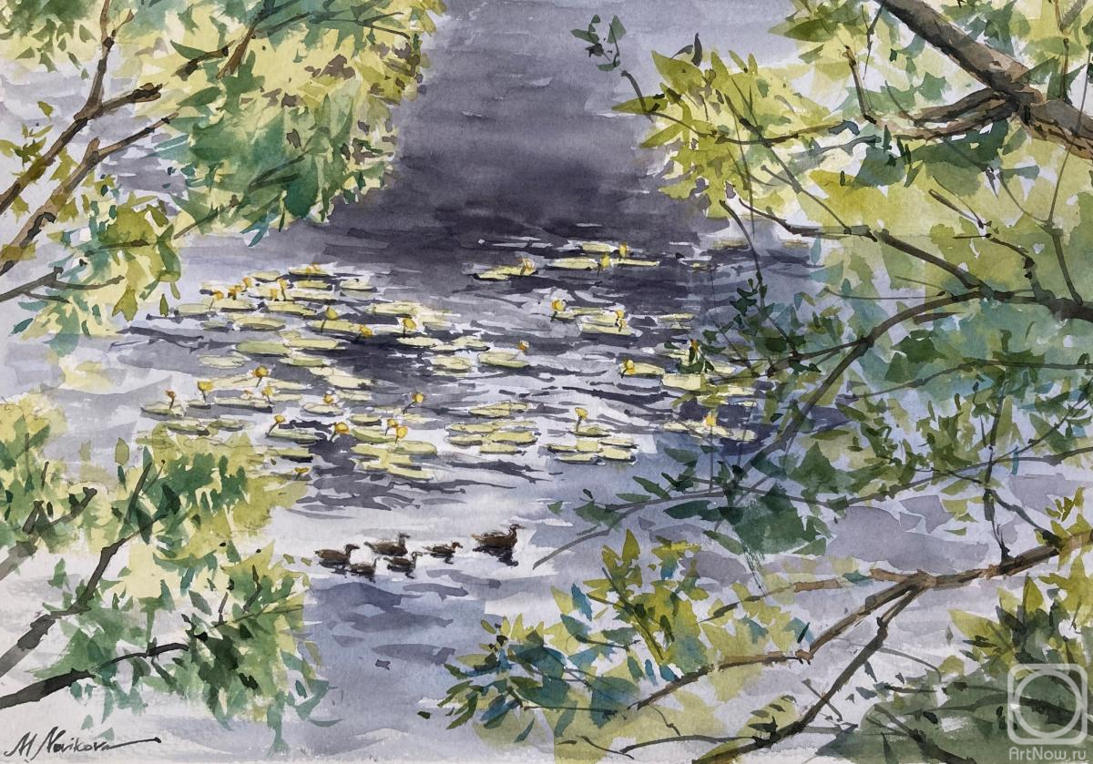 Novikova Maria. Untitled