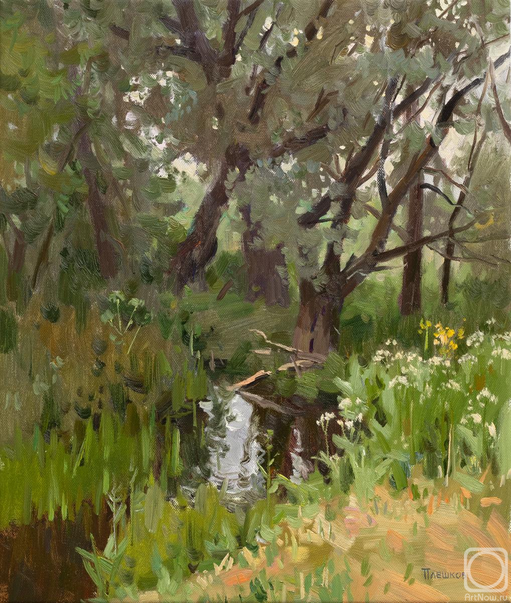 ������� ������ �� ������. ������� �������. ������ ����