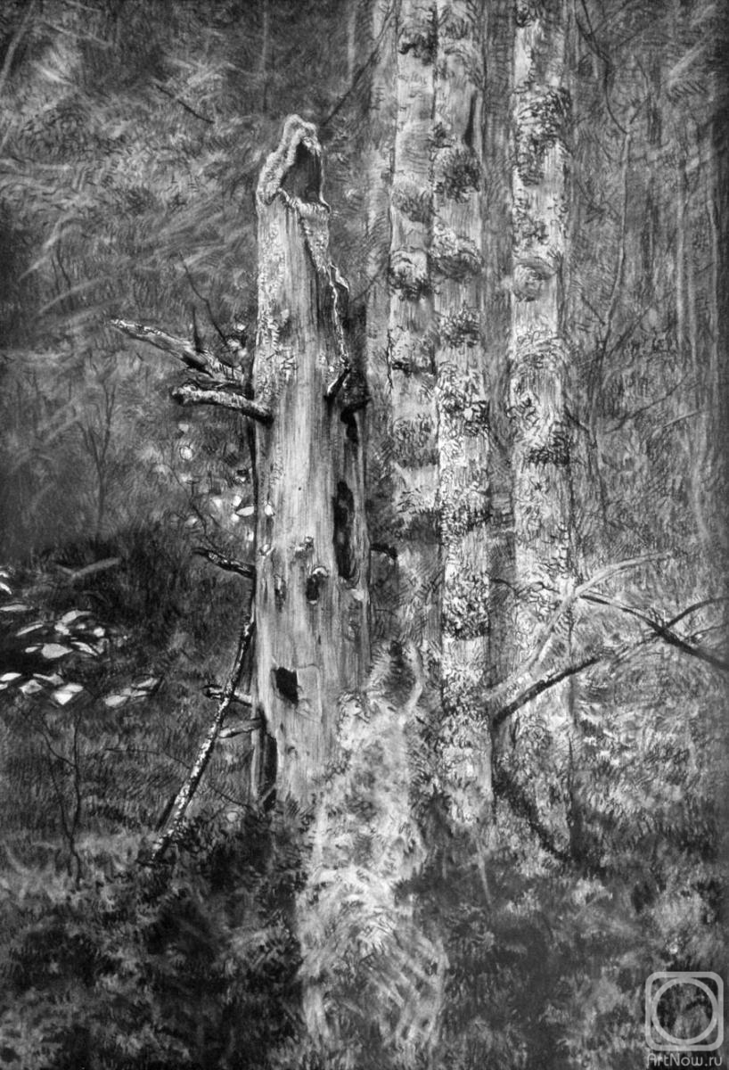 Kozhin Simon. Dead tree