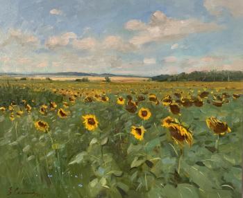 ������� ����� �����������