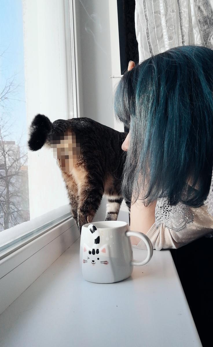 �������� ����