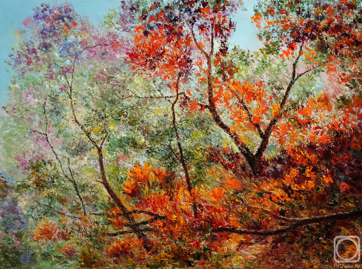 ������� ������ �� ������. ������� ��������. ������� �������