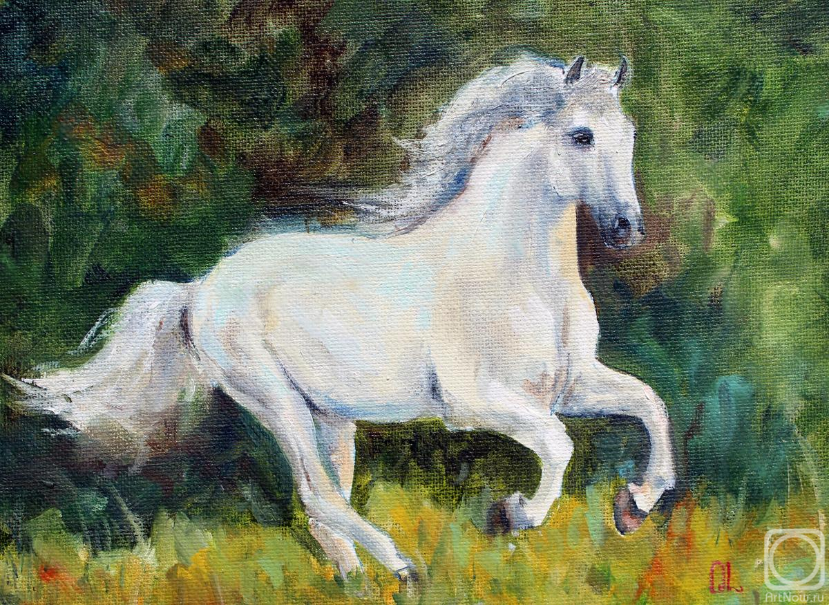 ������� ������ �� ������. �������� �����. �����